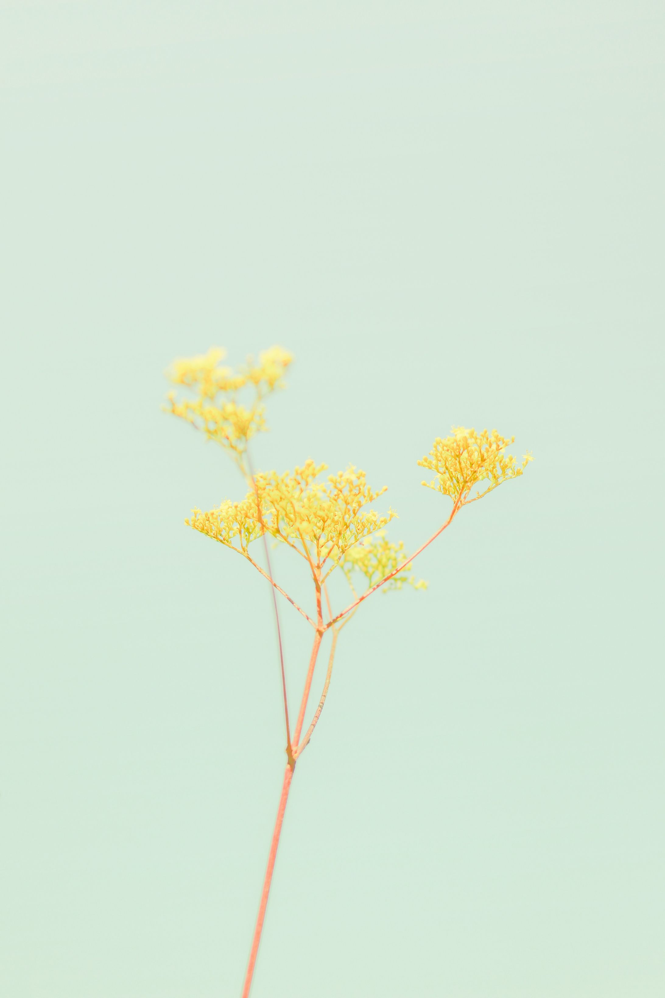背景イメージ-1