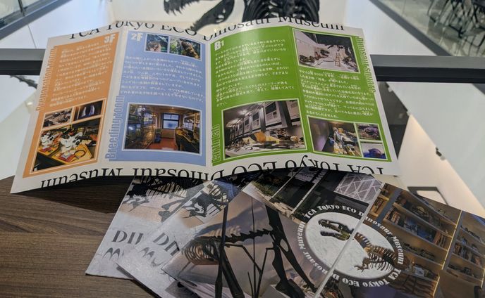 TCA東京ECO動物海洋専門学校様　 DINOSAUR MUSEUMパンフレット