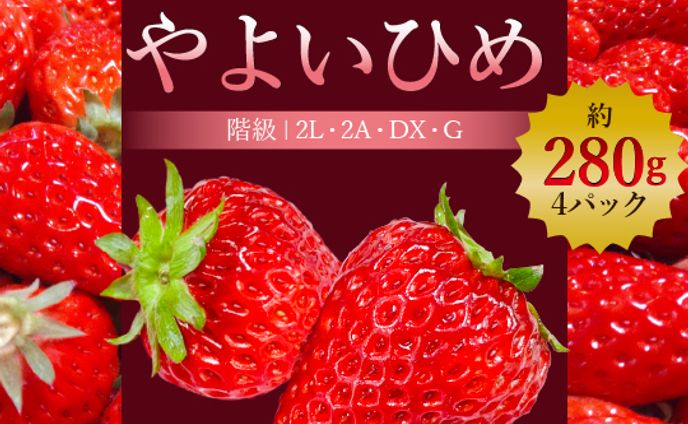 バナーデザイン集