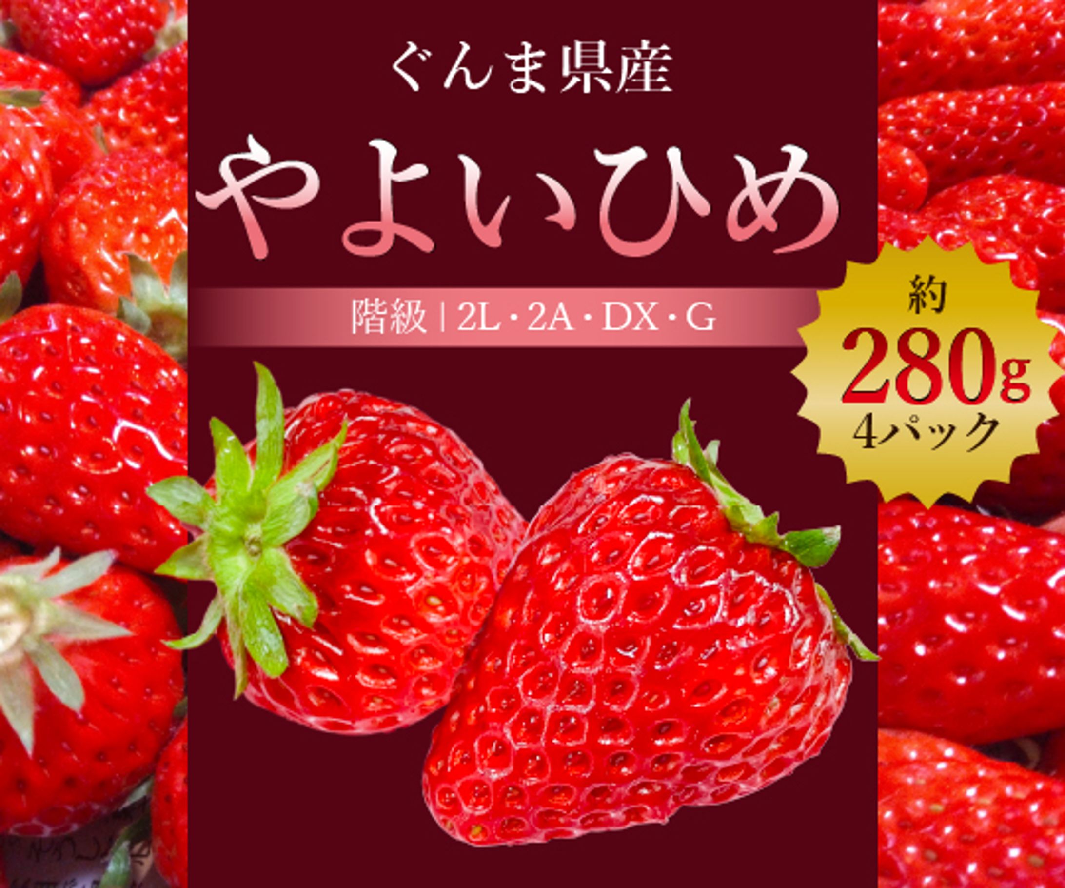 バナーデザイン集-1