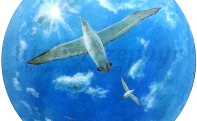 Fly in the blue air
