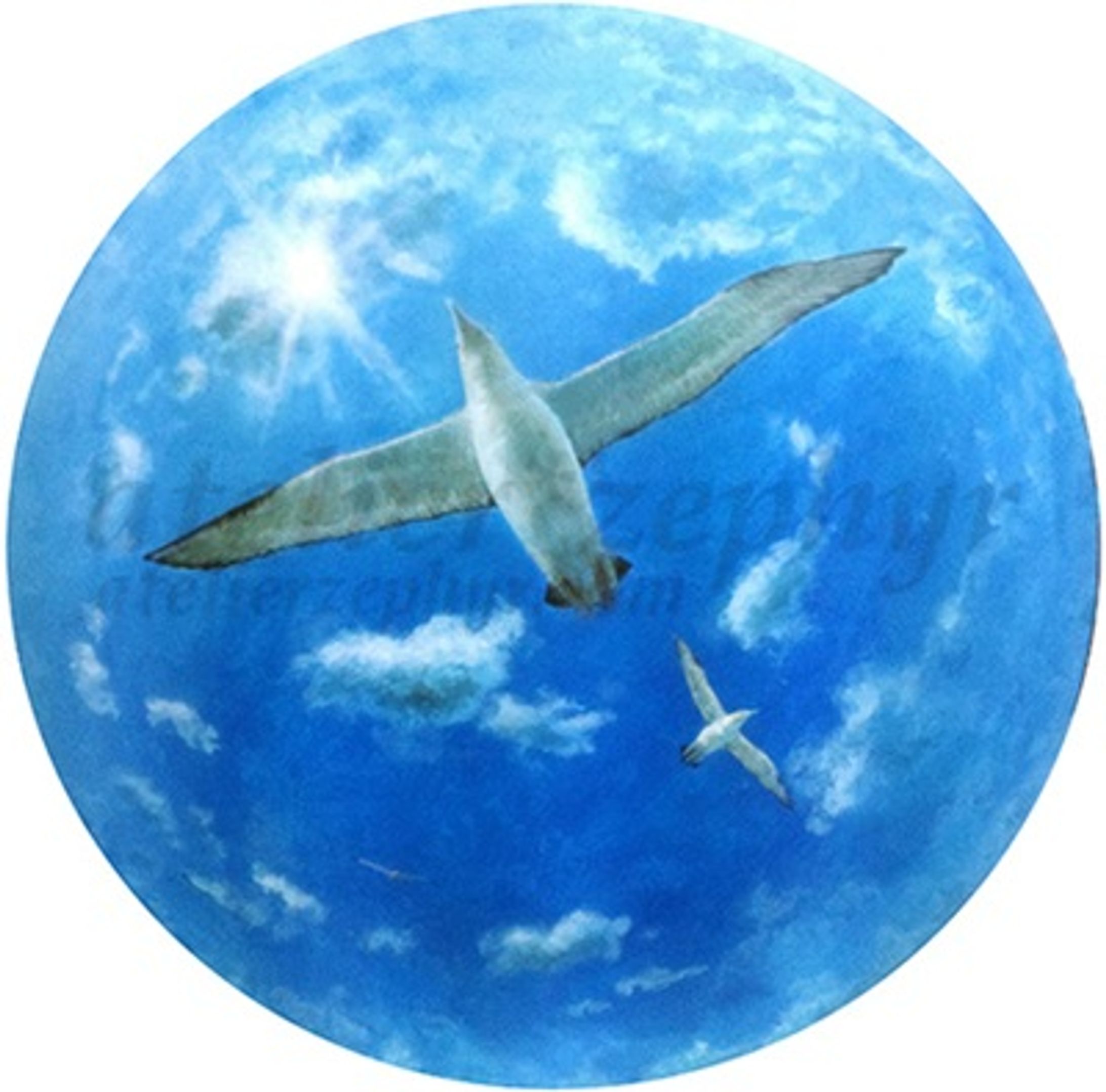 Fly in the blue air-1