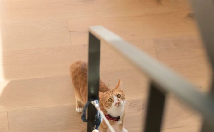 かわいいねえ～～