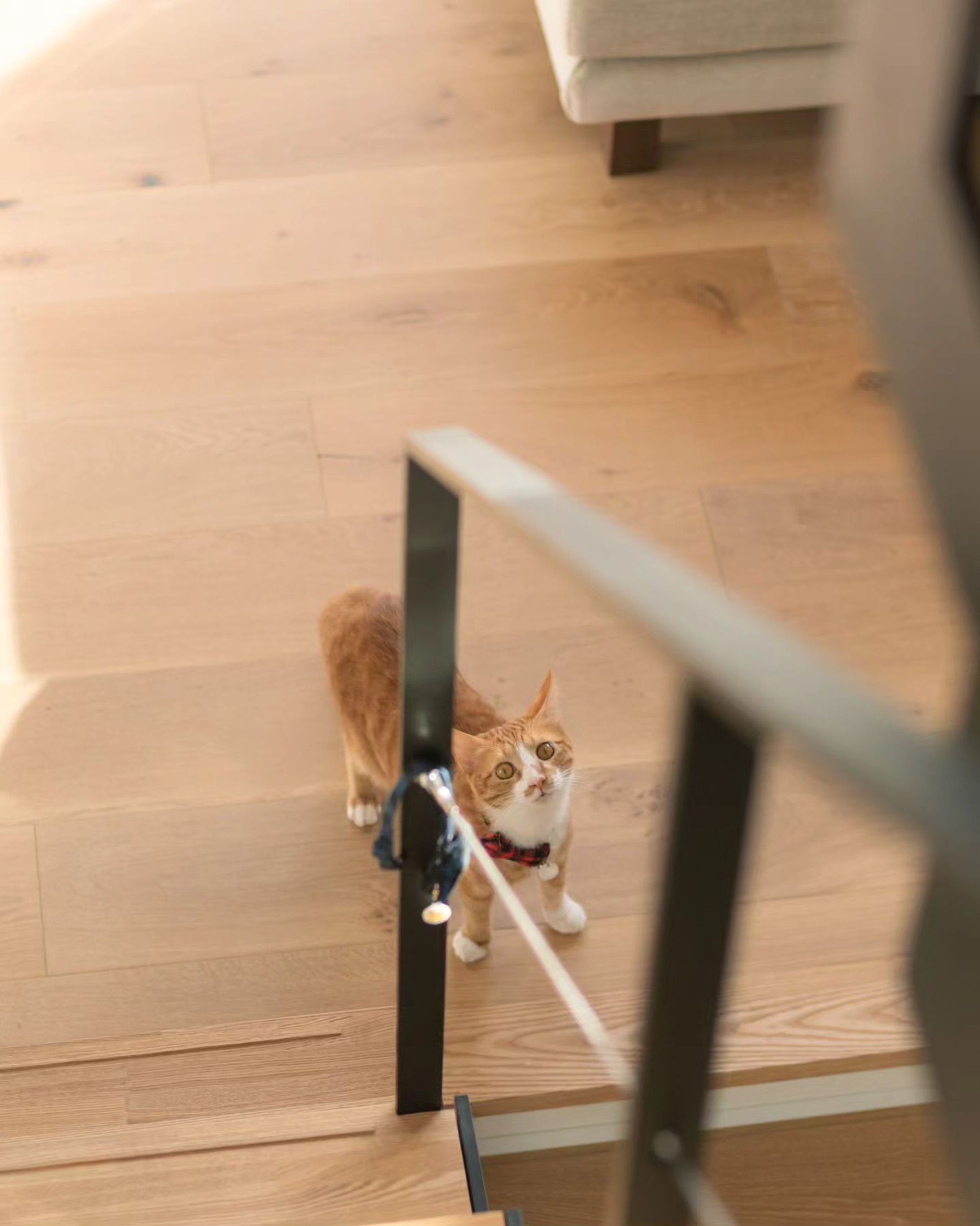 かわいいねえ～～-1