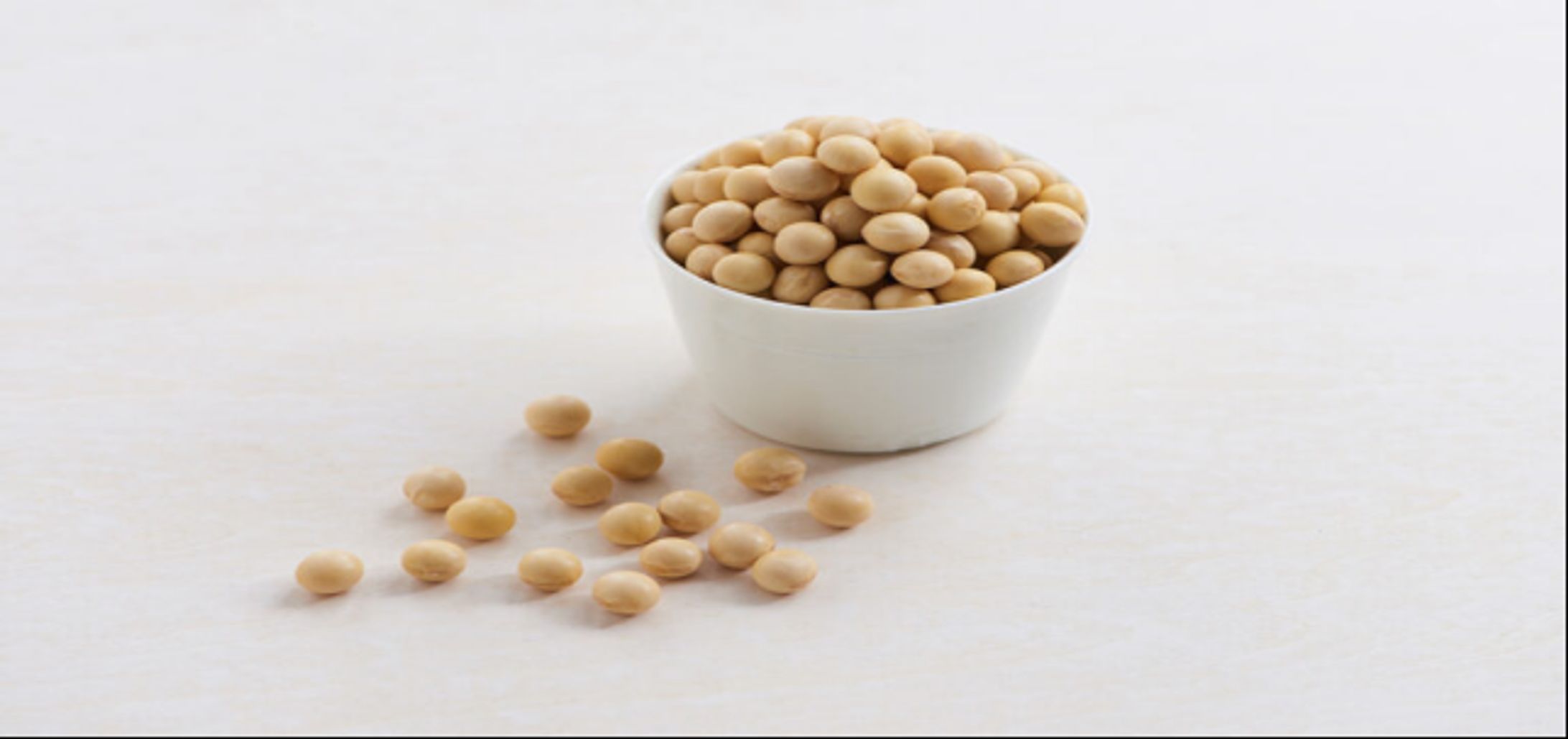 グローバルエクオール市場シェア：主要企業、売上動向、競争戦略2026-1