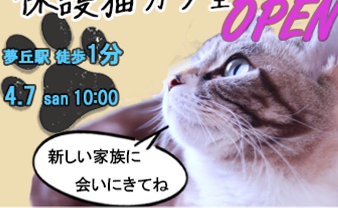 保護猫カフェのバナー
