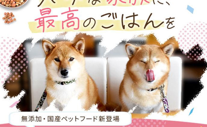 ペットフード広告バナー制作（スクール課題）