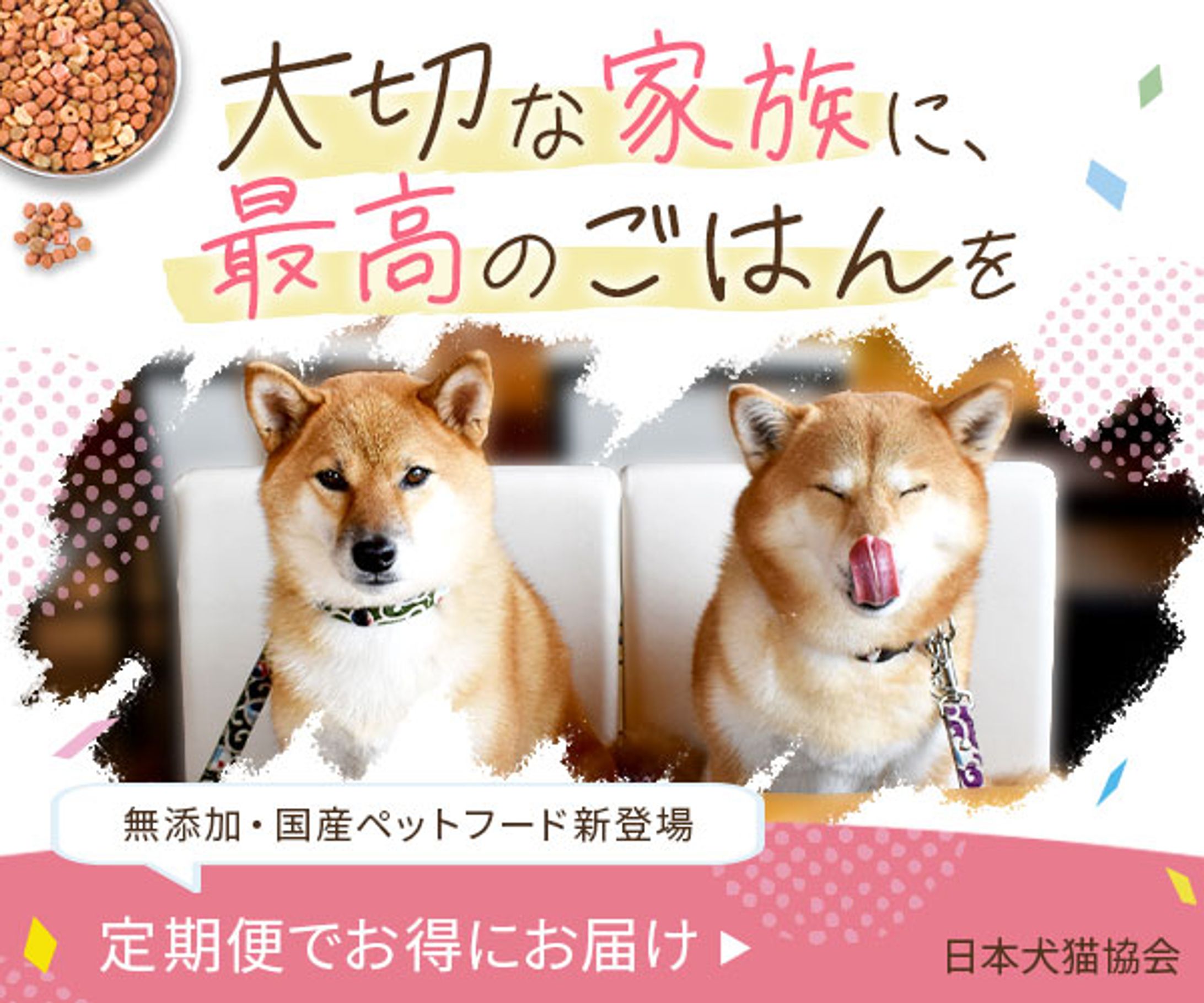 ペットフード広告バナー制作（スクール課題）-1