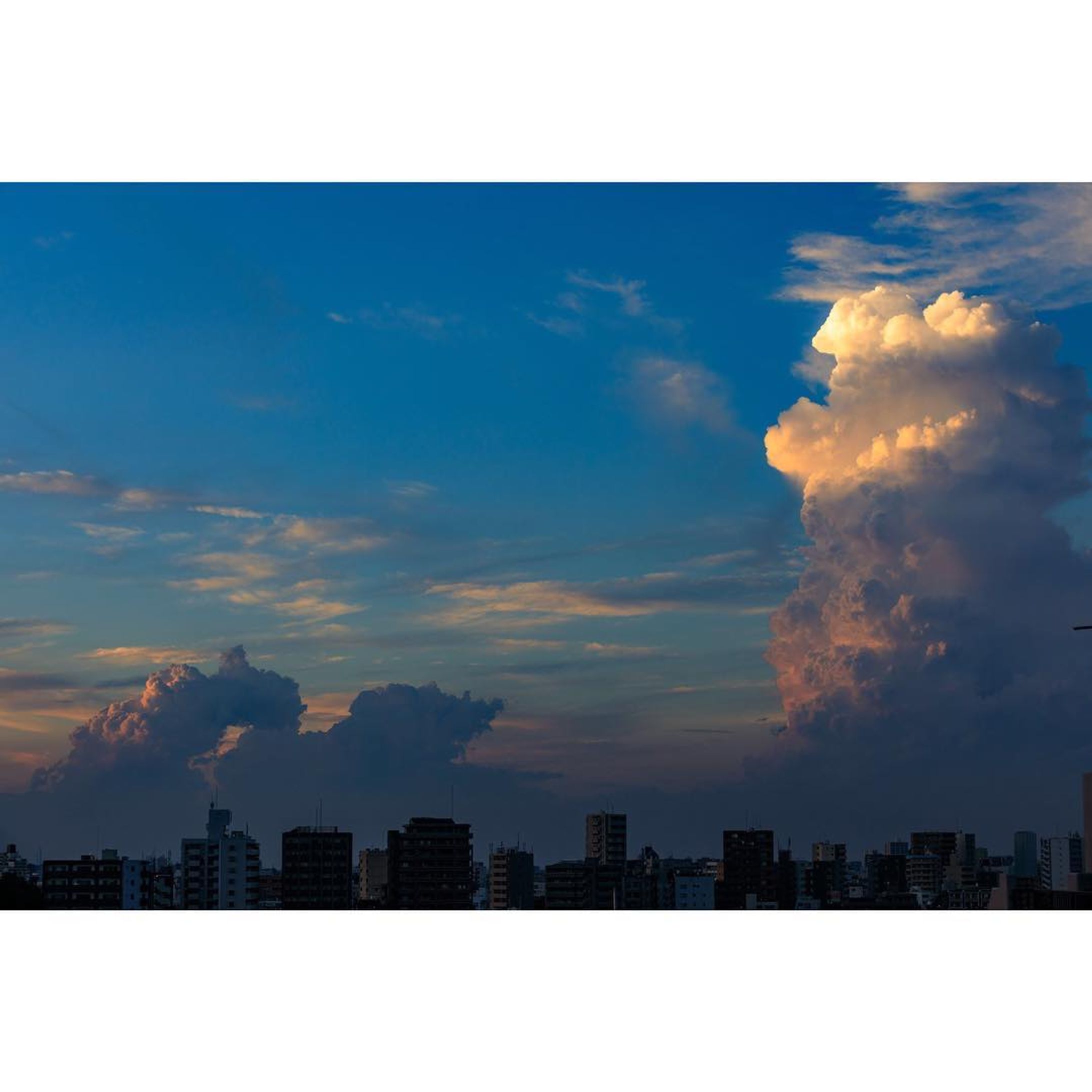 #sky #cloud #cumulonimbus #japan #photography#landscape #積乱雲 #雲 #風景 #東京-1