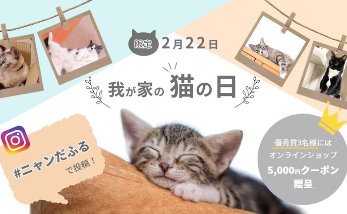 猫の日（sample）