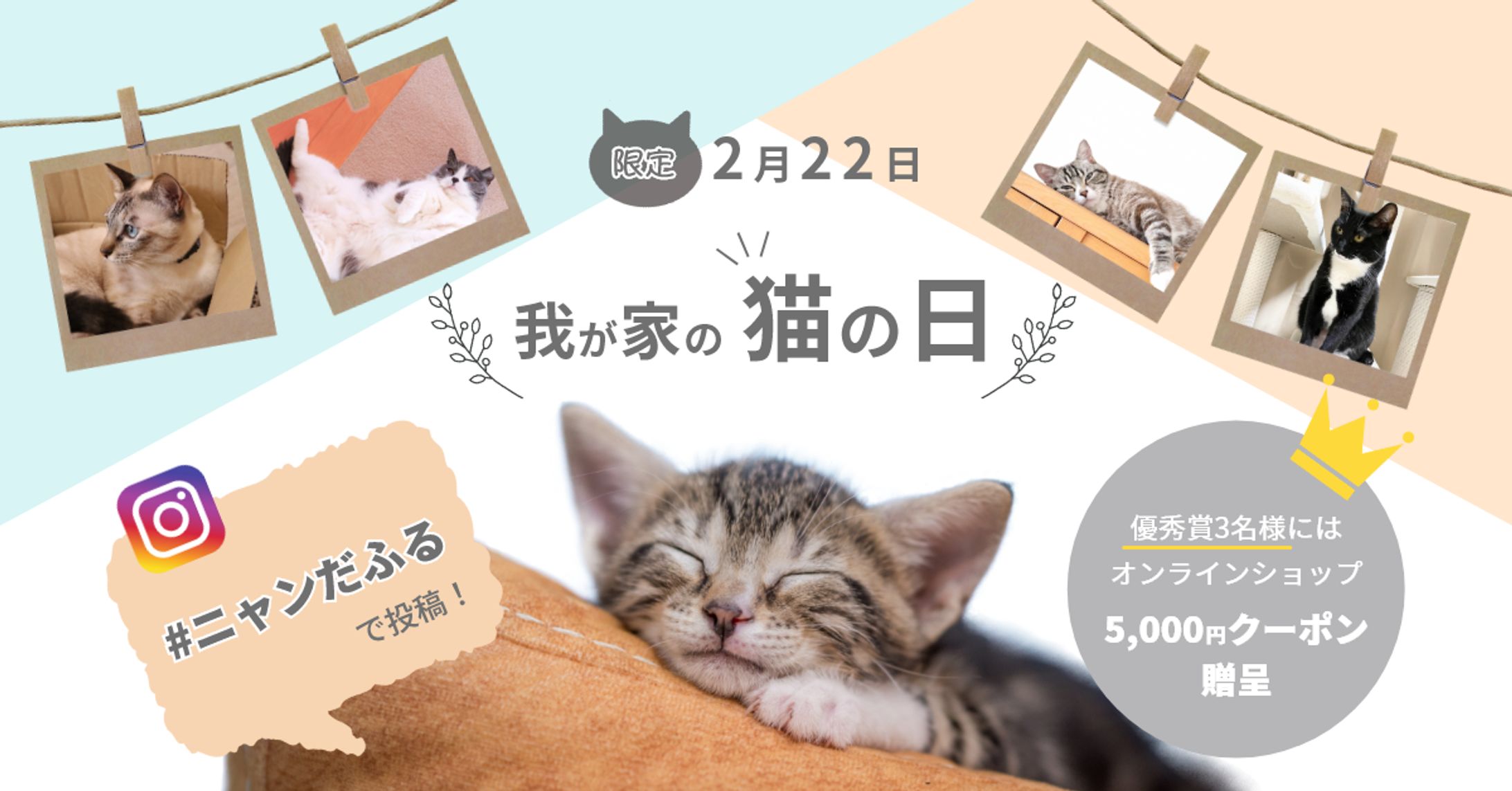 猫の日（sample）-1