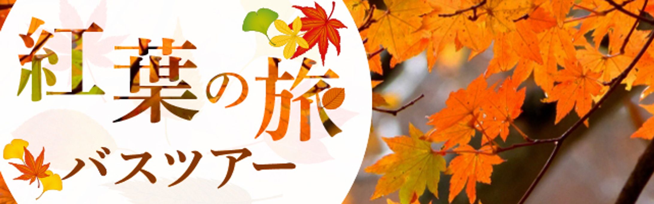 【バナー】紅葉の旅バスツアー-1