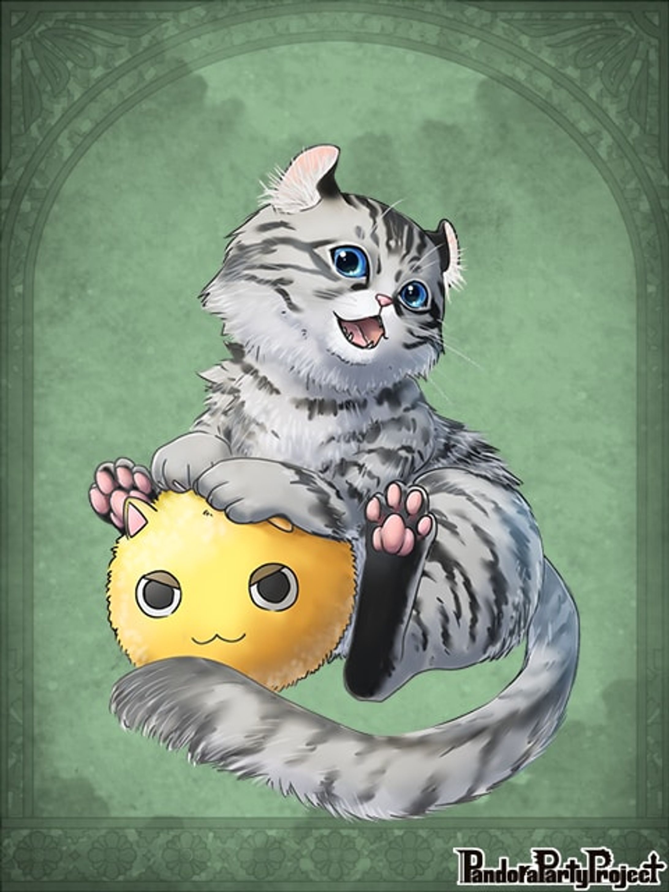 子猫-1