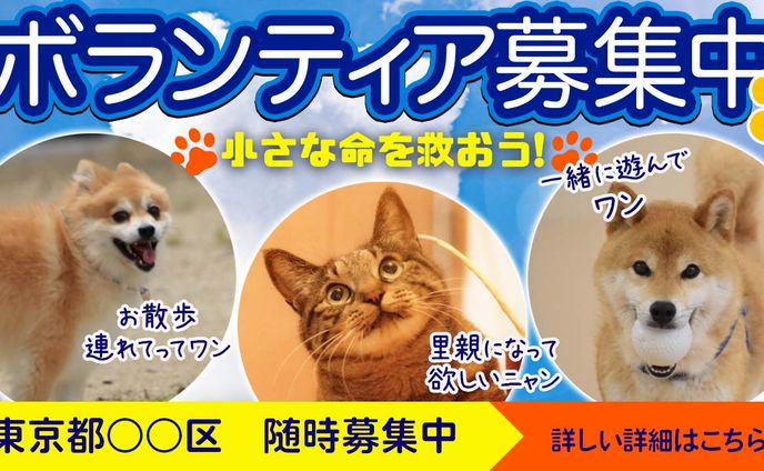 【バナー】ボランティア