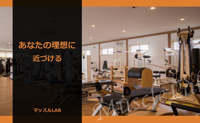 マッスルLAB営業資料