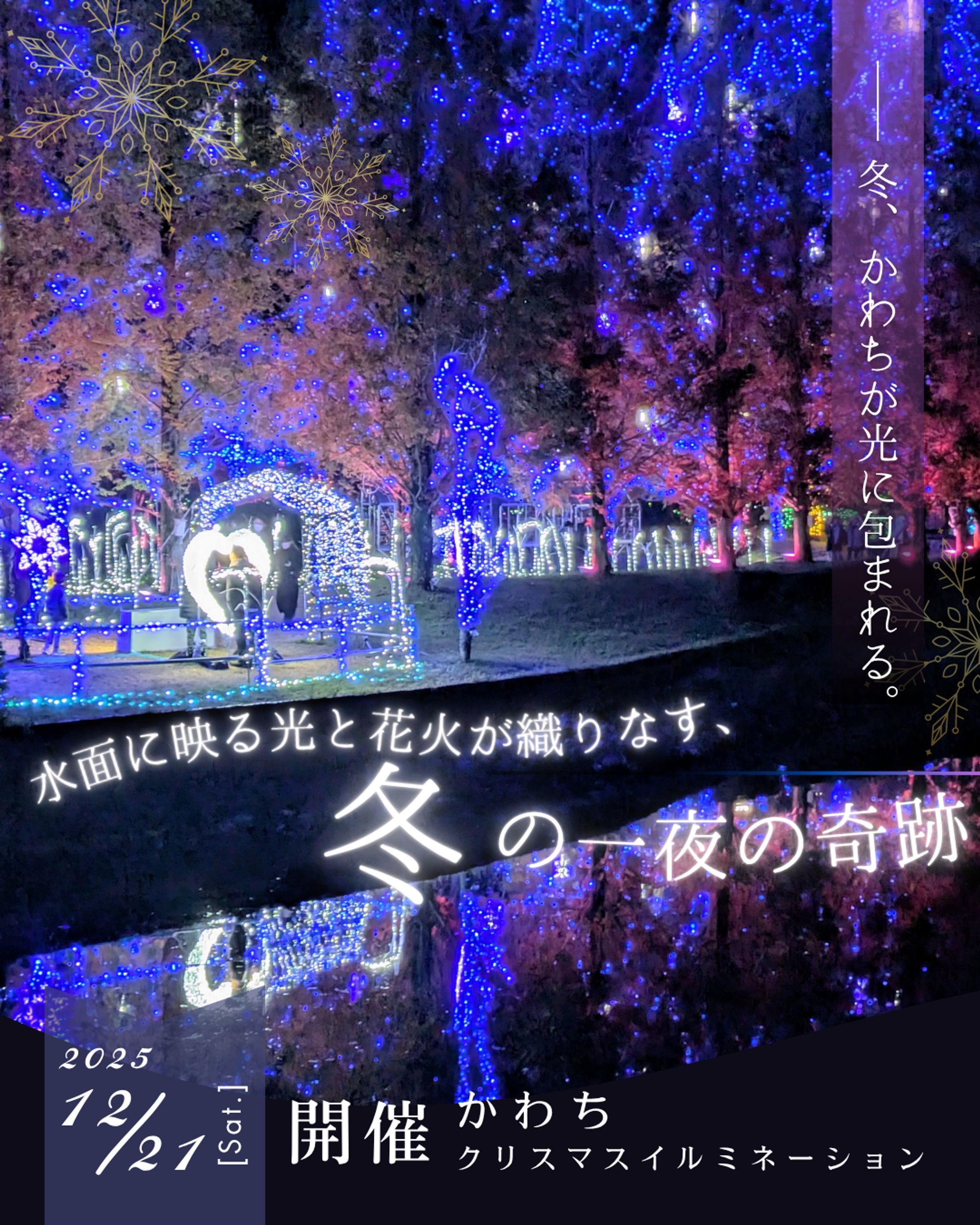 かわちイルミネーションInstagram投稿画像-1