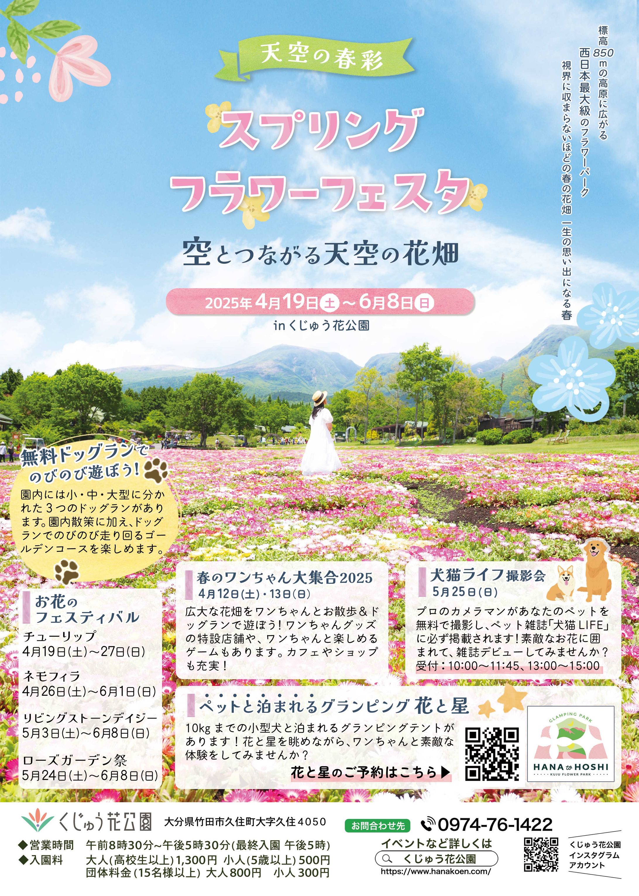 雑誌：犬猫専門誌掲載記事-1