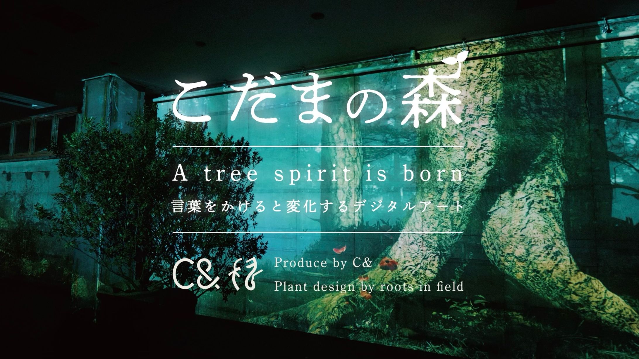 元チームラボメンバー創設のデジタルアート制作会社・C& にて作品『こだまの森』背景3DCG映像を担当-1