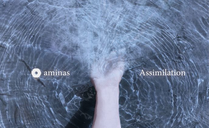【CD Jacket】Assimilation