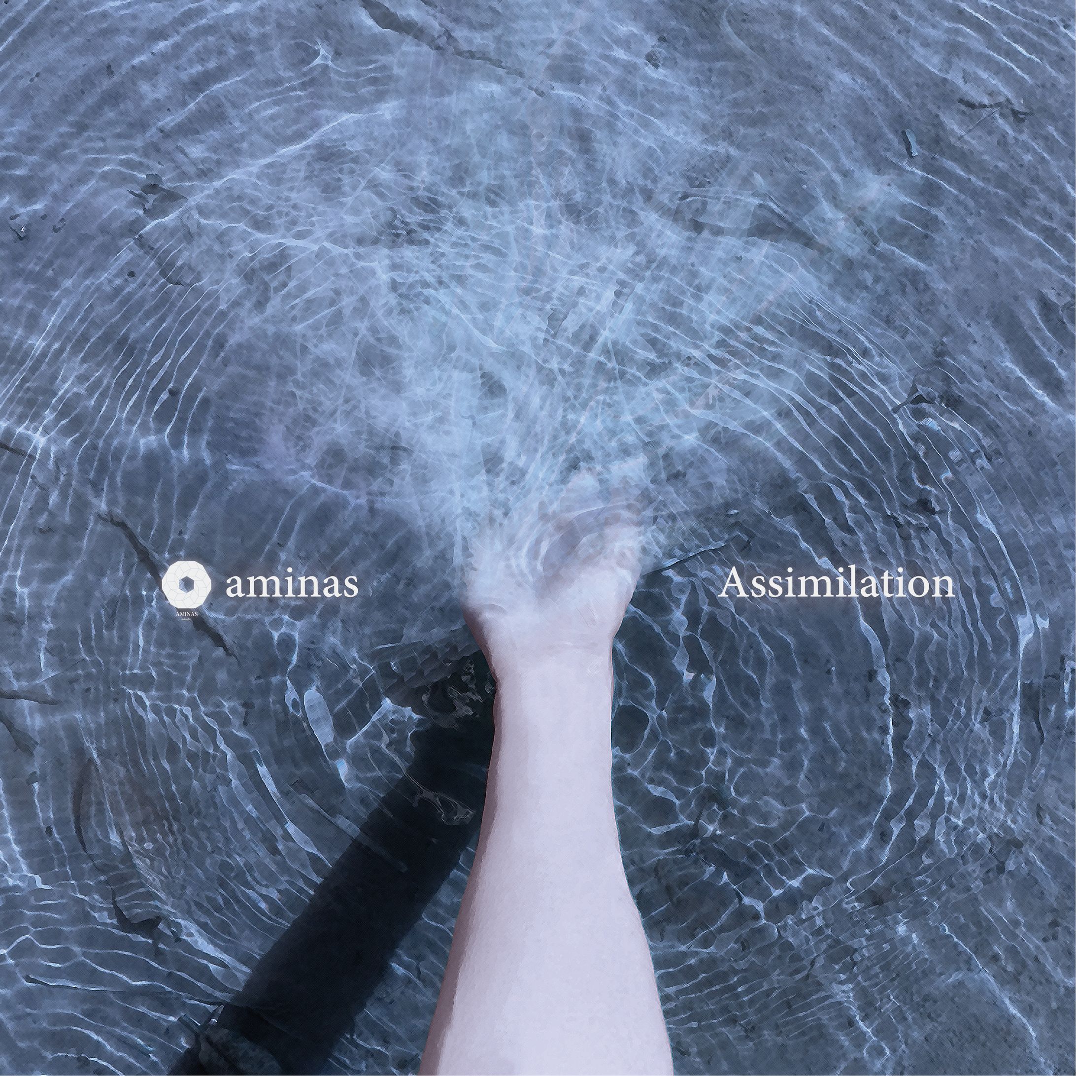 【CD Jacket】Assimilation-1