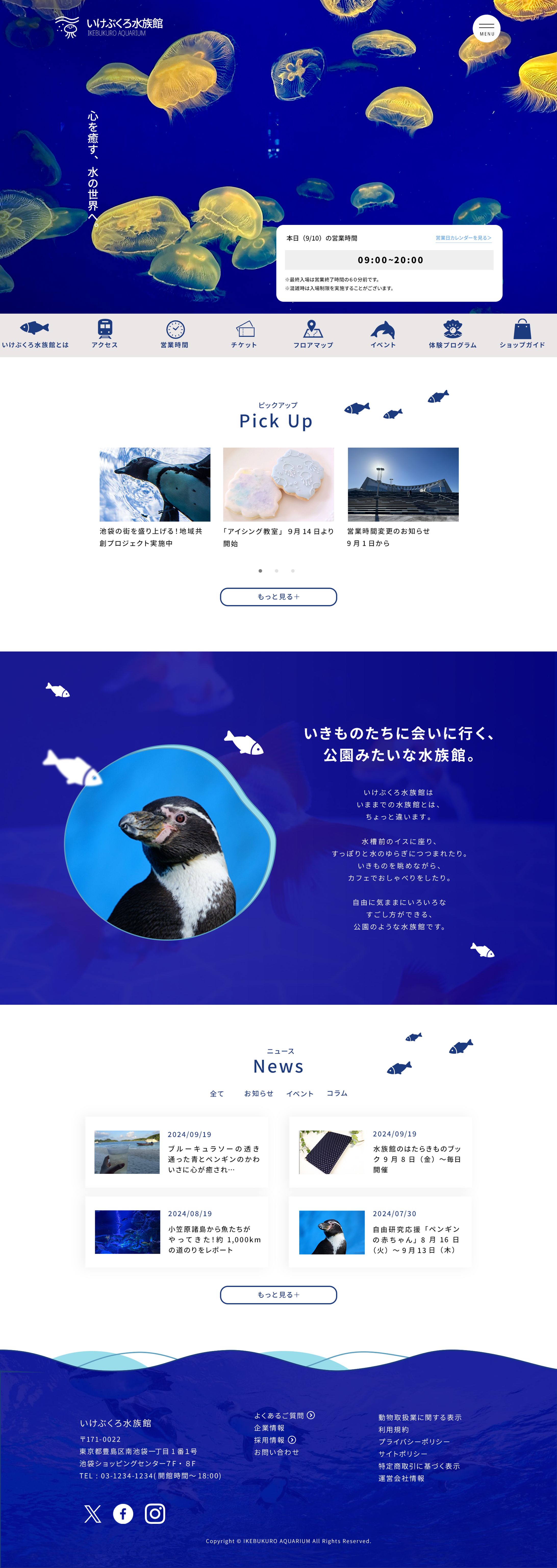 水族館のWEBデザイン-1