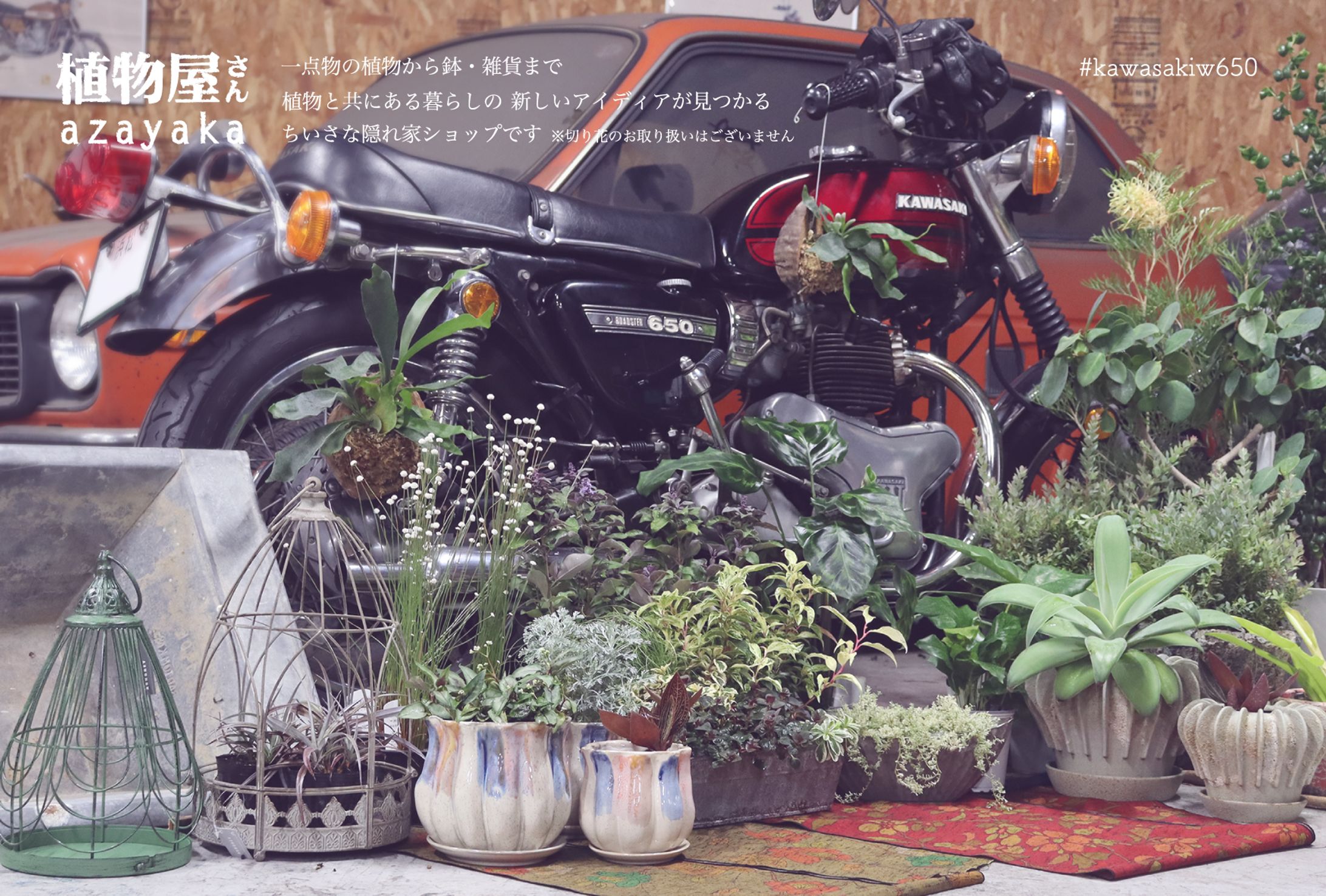 ポストカードDM-1