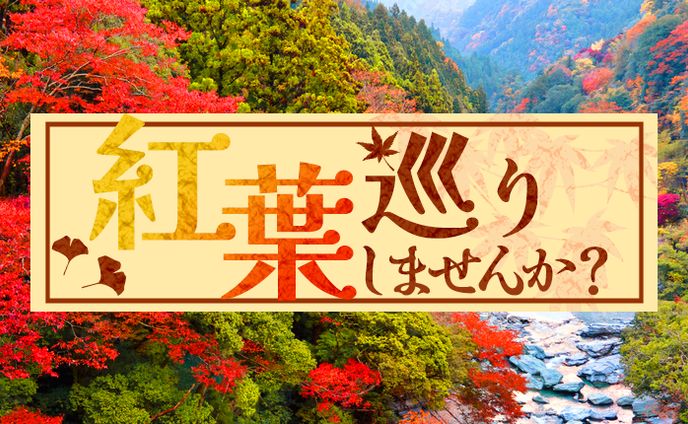 【サイトバナー】紅葉巡りバナー