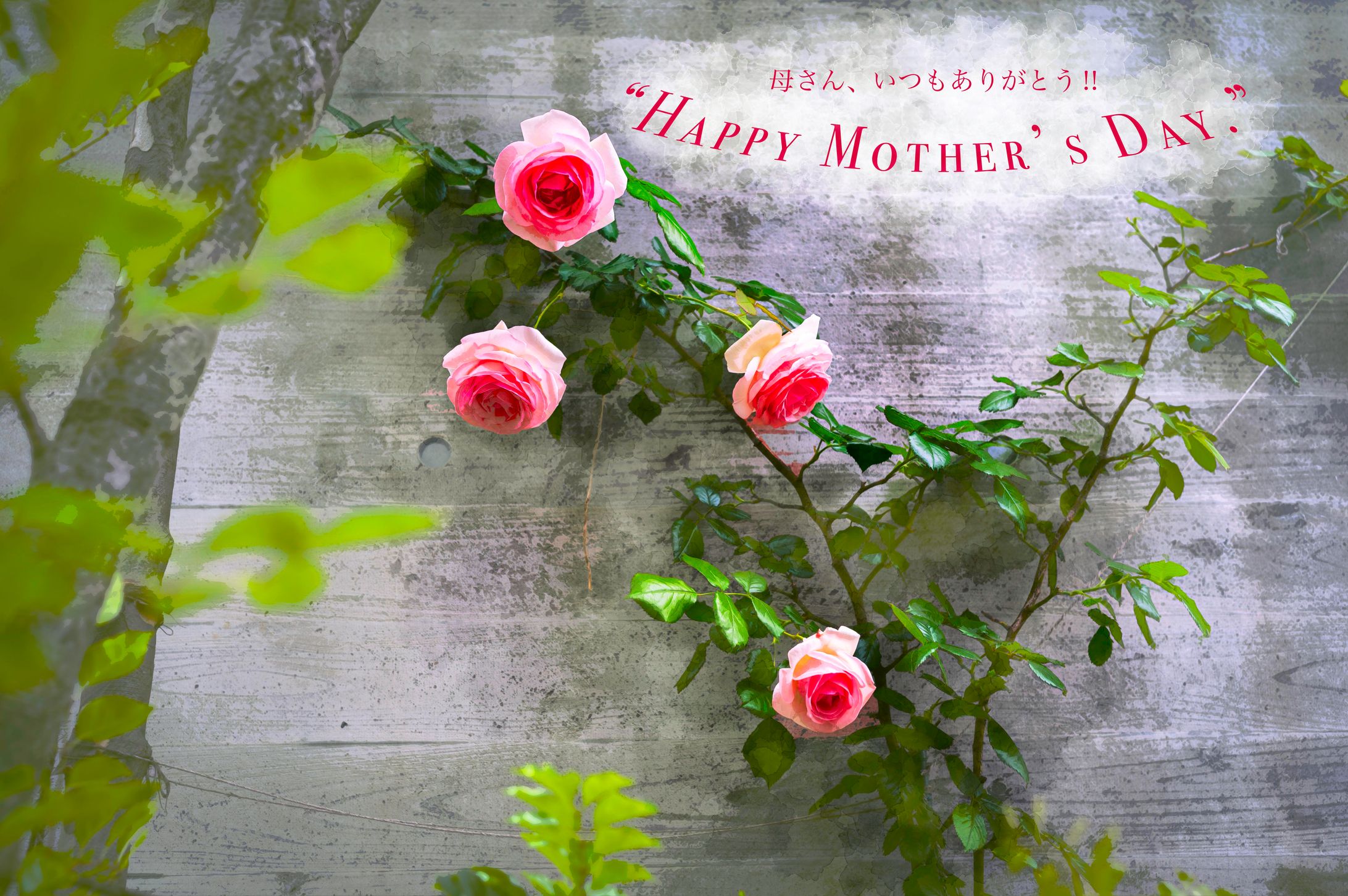 HAPPY MOTHER'S DAY-1