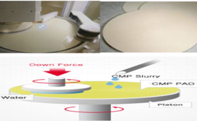 CMP研磨パッドのグローバル分析レポート2025 QYResearch