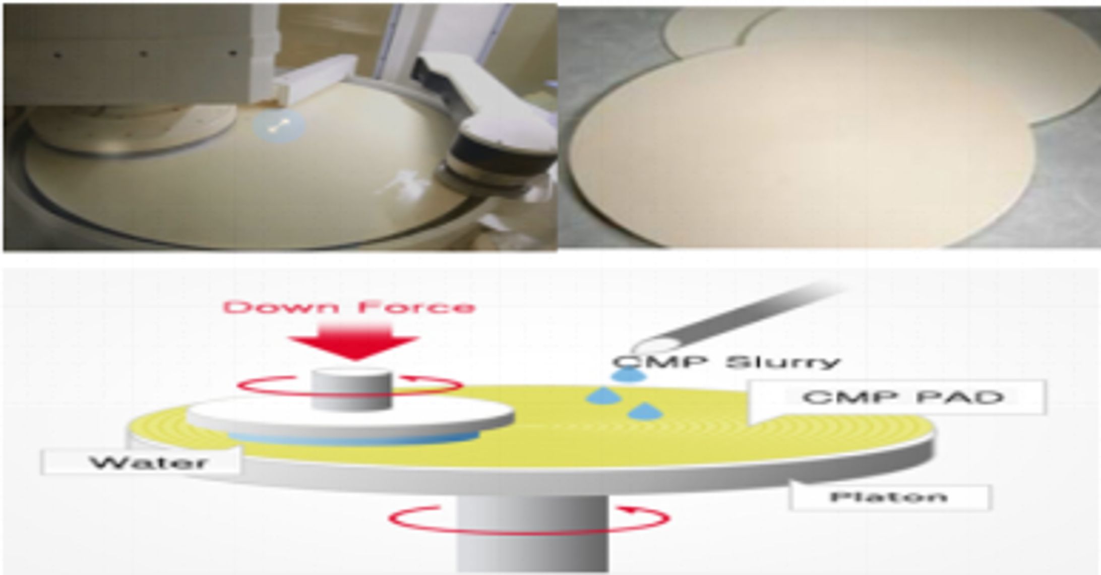 CMP研磨パッドのグローバル分析レポート2025 QYResearch-1