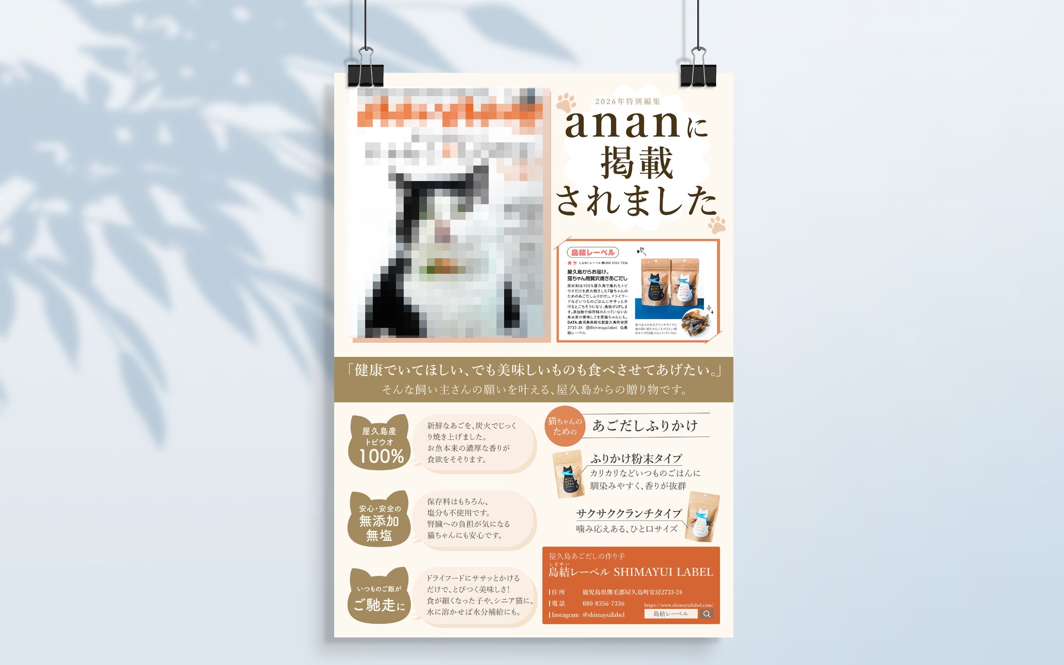 《実績》雑誌掲載宣伝チラシ-1