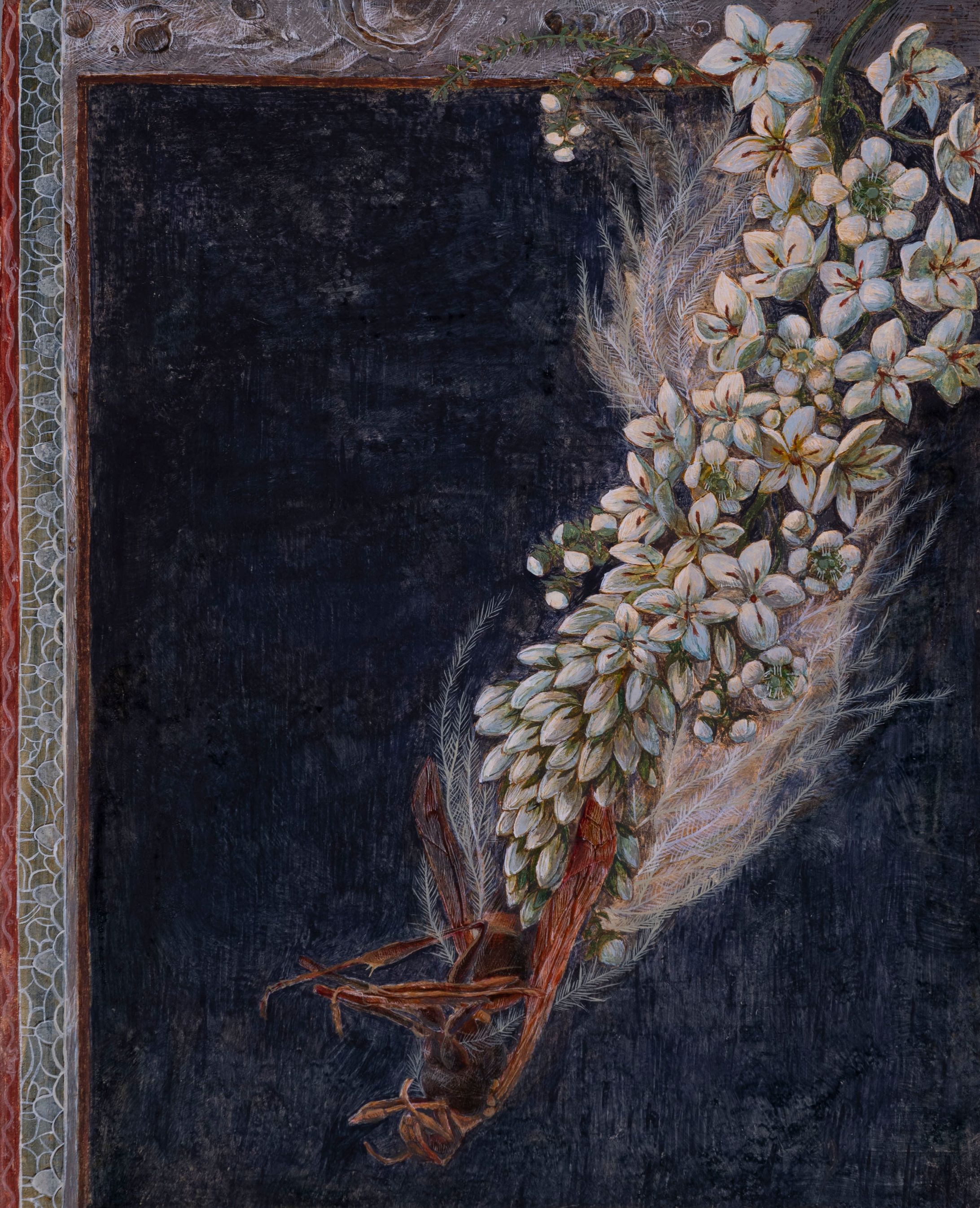 To be a shooting star-1