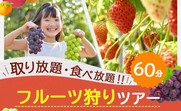 イラスト　デザイン、かわいい系