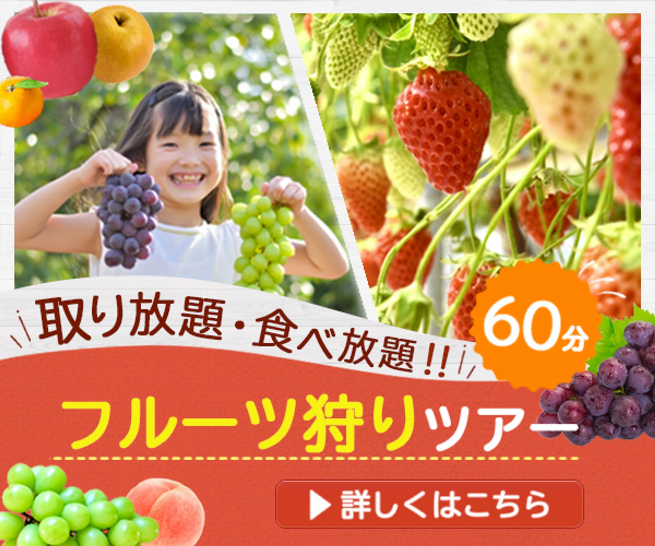 フルーツ狩りツアーバナー-1
