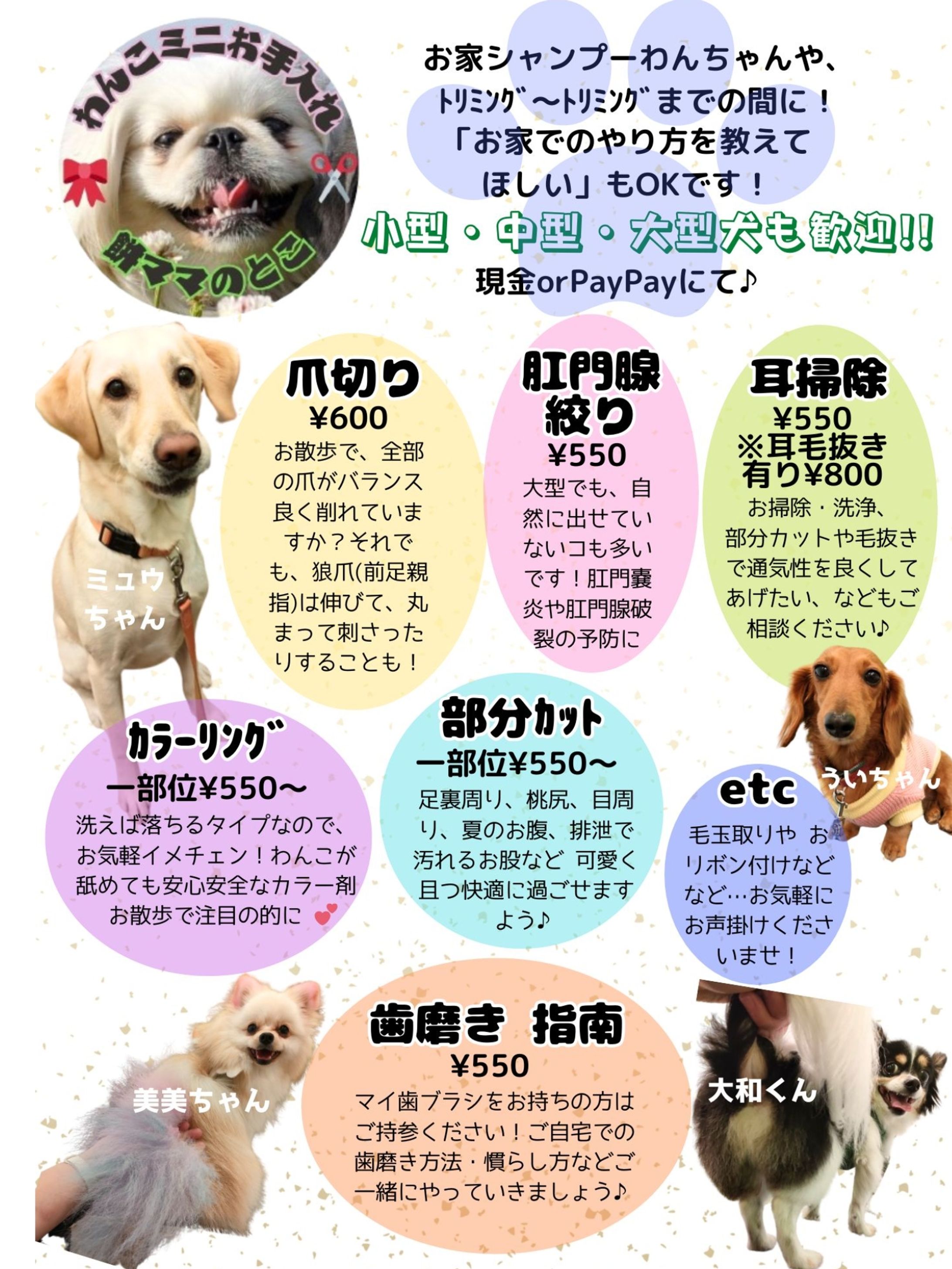 わんこミニお手入れ-1