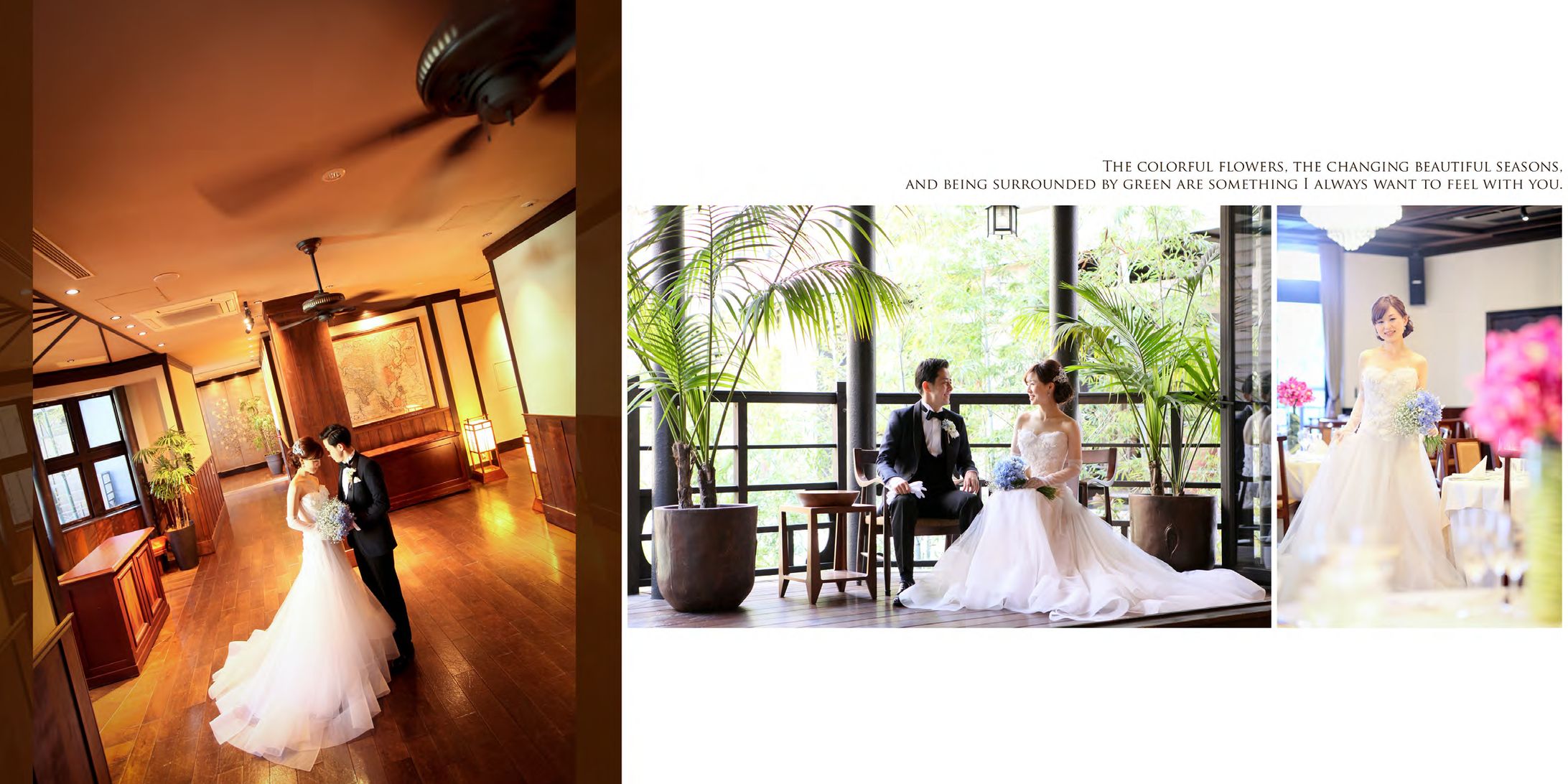 Wedding Album
-1