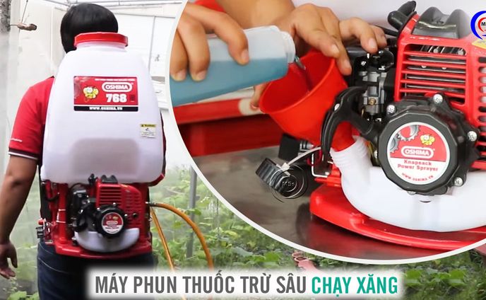cho thuê bàn ghế、作曲/dtm