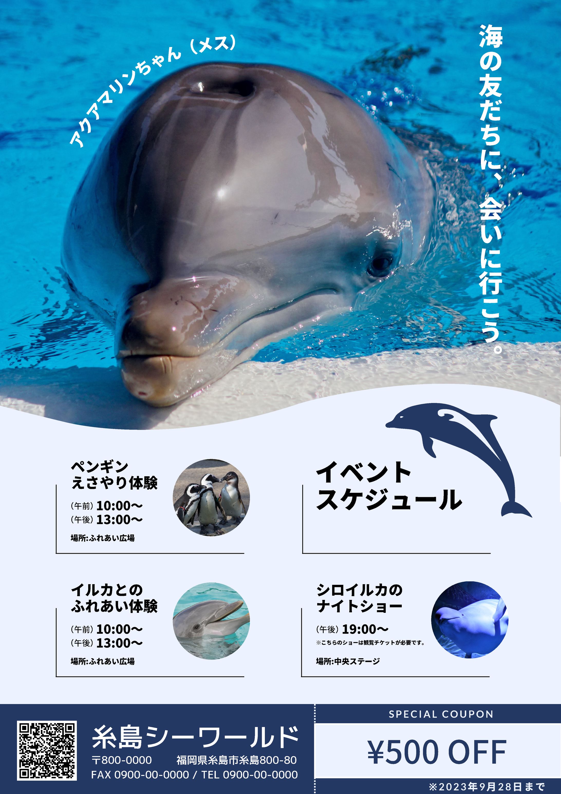 水族館チラシ-1