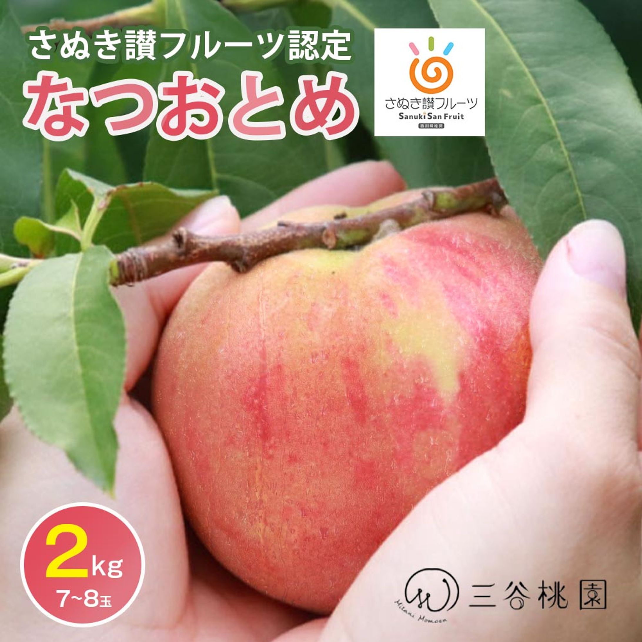 ふるさと納税サンプル-1