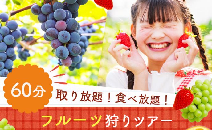 フルーツ狩りバナー