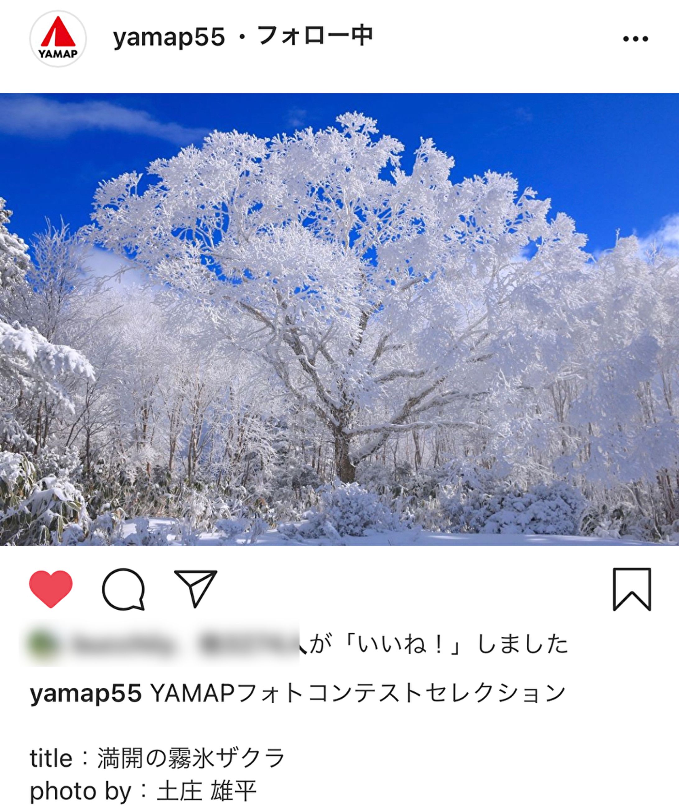 【写真】満開の霧氷ザクラ〜YAMAPのSNSでご紹介〜-1