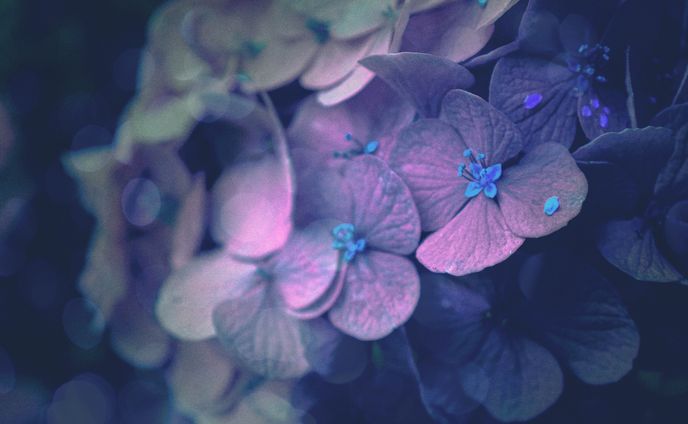 photo、インスト作成