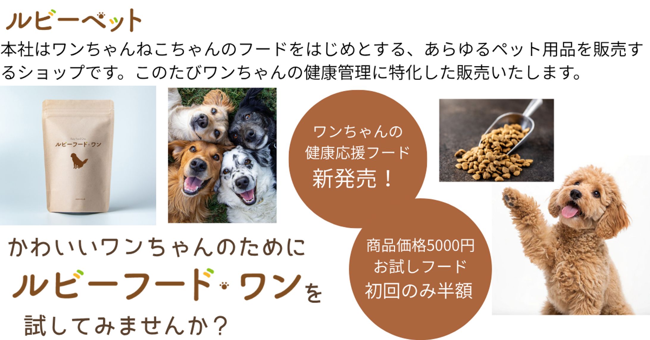 ドッグフード 架空案件-1