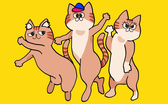 動画素材、fashion