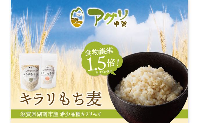もち麦　ポスター（A1）