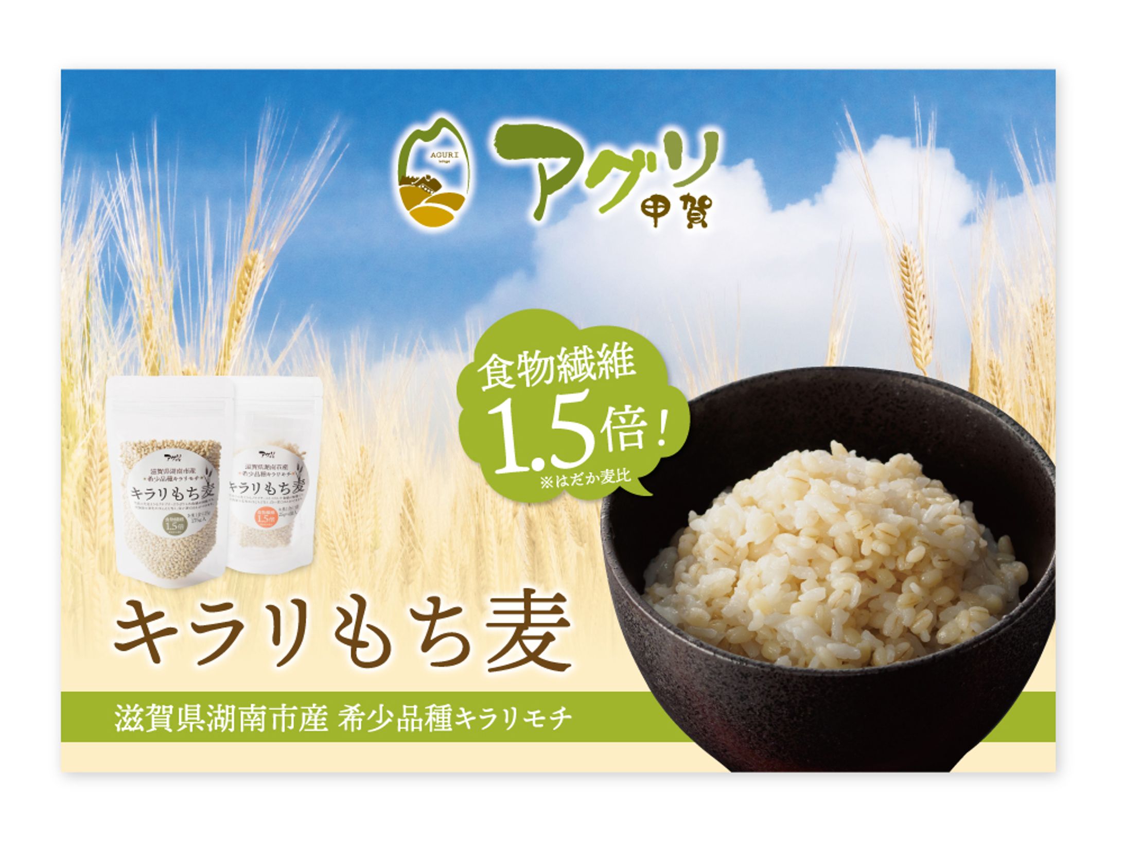 もち麦　ポスター（A1）-1