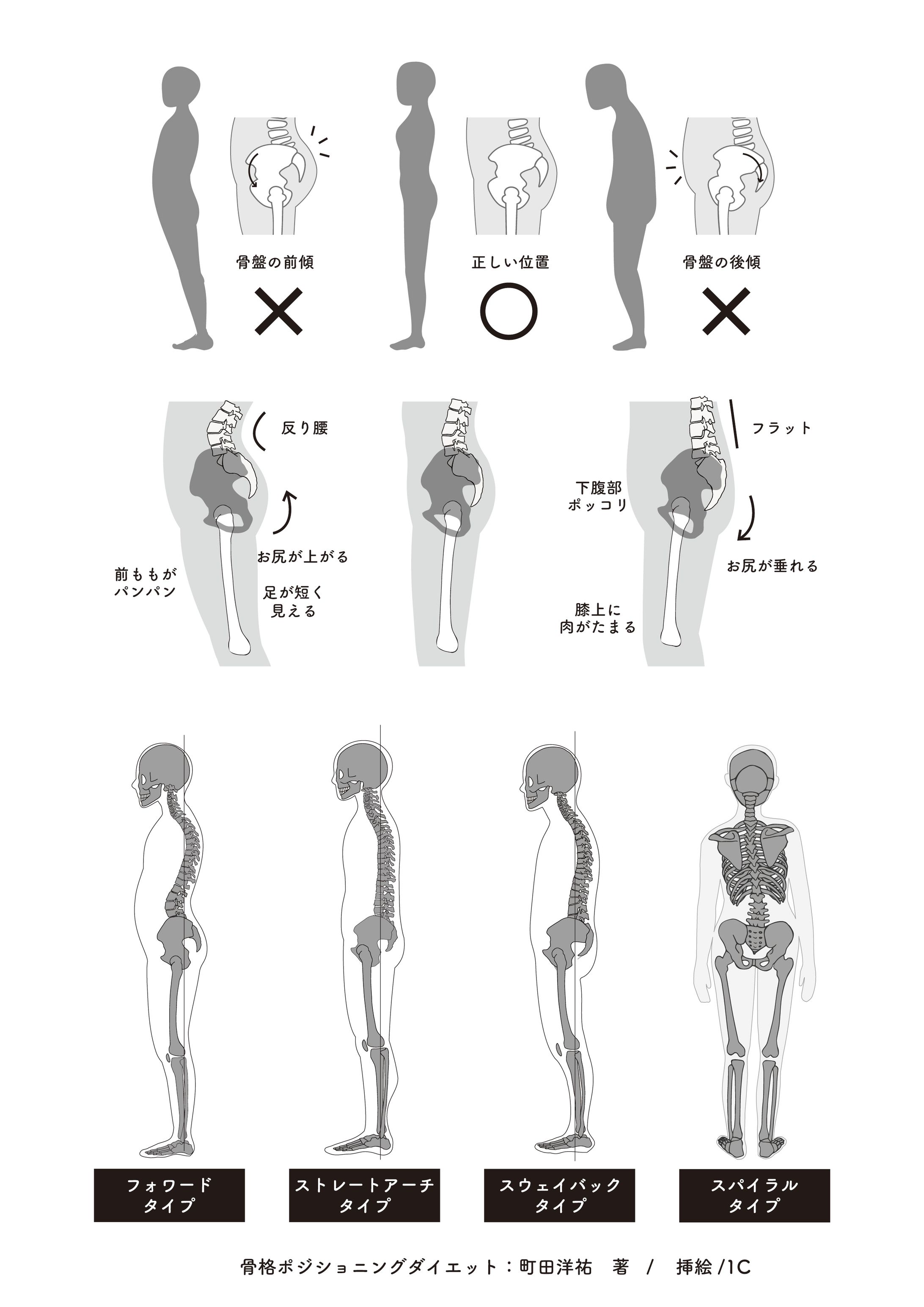クライアントワーク・わかりやすい姿勢の解剖イラスト-1