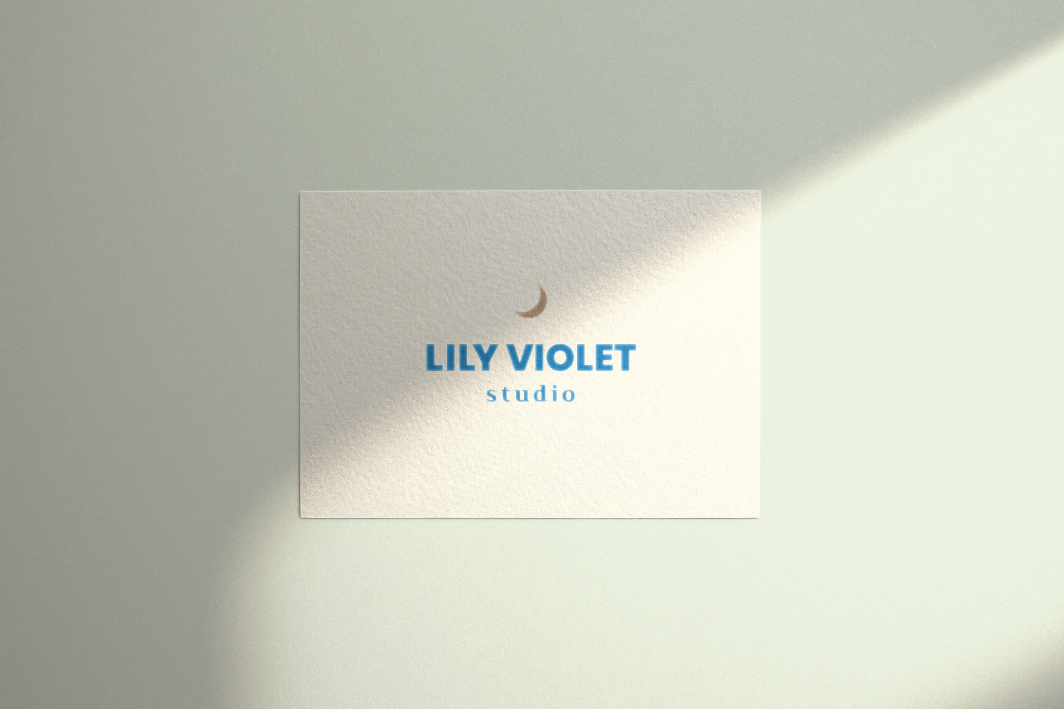 LILY VIOLET - DESIGN-1