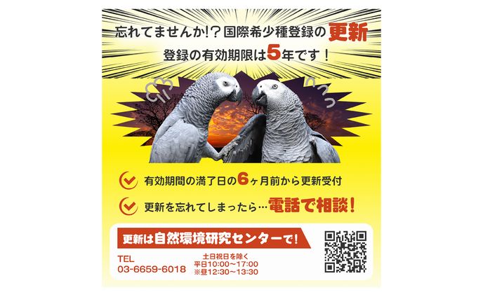 国際希少種登録（ヨウム）のバナー　更新