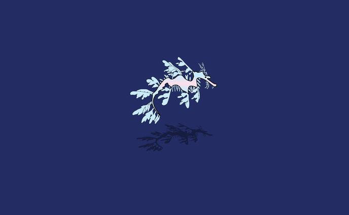 リーフィーシードラゴン